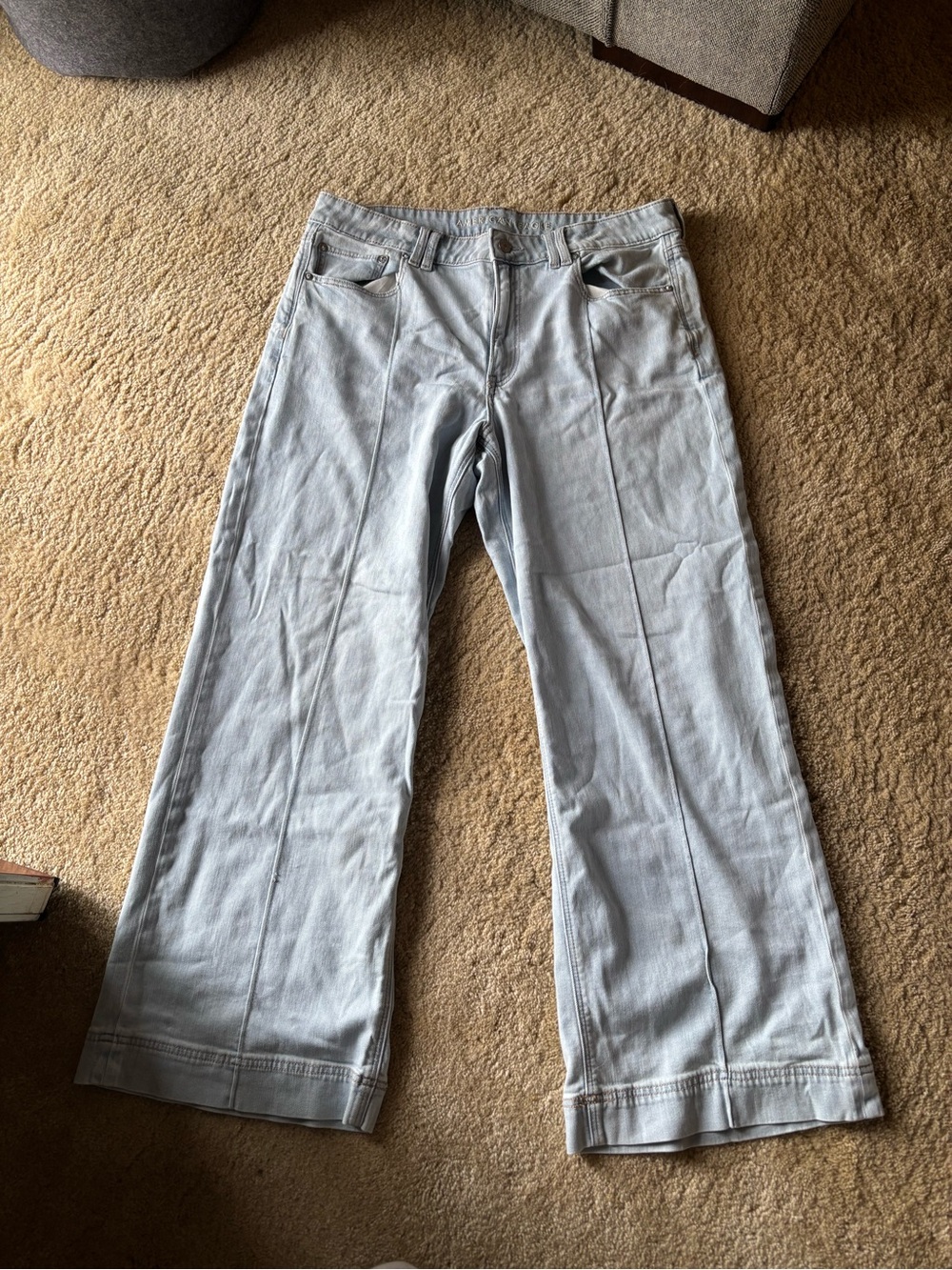 American Eagle Baggy Wide Leg Jeans (12)